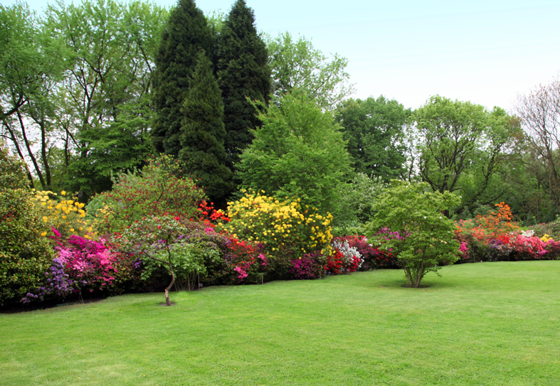 landscaping